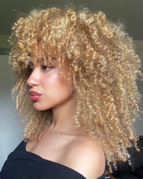 No rizz just a blonde fro and a sharp nose (These have been in the drafts for WAY too long) _ _ Blonde afro girl, blonde afro, blonde 3c curly hair, blonde fro, blonde curls, 3c curls, 4a curls Honey Blonde Curly Hair, 4a Curls, 3c Curls, Curly Hair Blonde, Sharp Nose, 3c Curly Hair, 2025 Goals, Biracial Women, Blonde Afro