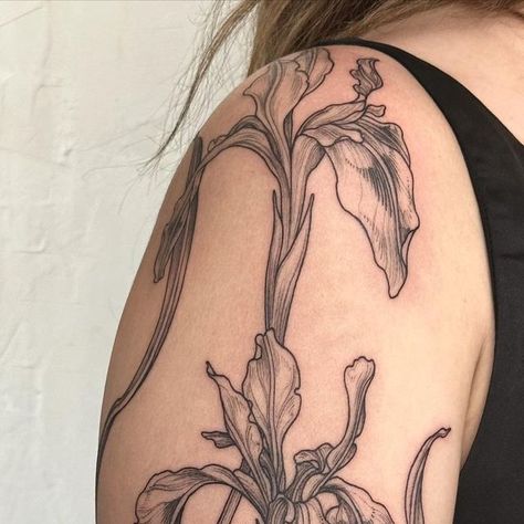 Iris Tattoo Arm, Iris Flower Fine Line Tattoo, Iris Arm Tattoo, Iris Tattoo Black And White, Black And White Iris Tattoo, Iris Tattoo Design, 21 Tattoo, Iris Tattoo, My Dear Friend