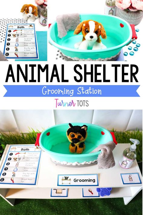 Animal Pretend Play Ideas, September Dramatic Play Ideas, Pet Adoption Pretend Play, Dramtic Play Ideas, Diy Pet Vet Dramatic Play, Dramatic Play Center Themes, Preschool Play Center Ideas, Pet Dramatic Play Preschool, Vet Shop Dramatic Play