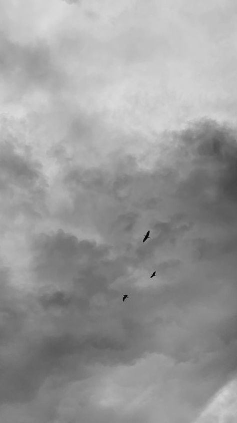 Black And White Clouds Wallpaper, ملصق ديني, Rainy Day Aesthetic, Fotografi Iphone, Birds In The Sky, Black And White Art Drawing, Architecture Concept Drawings, Profile Pictures Instagram, Moon Photography