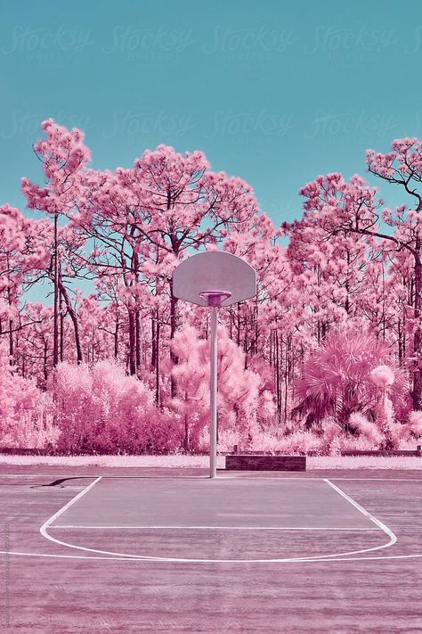 Asthetic Picture White And Black, Pink Basketball, Infrared Photography, Scenery Paintings, World Pictures, Screen Savers, Instagram Inspiration, Us Images, Presentation Design