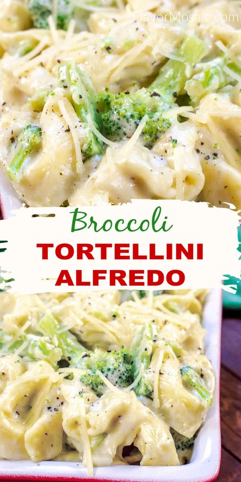 Chicken And Broccoli Tortellini Alfredo, Quick And Easy Dinner Recipes Tortellini, Recipes For Tortellini Easy Dinners, Creamy Tortellini Broccoli Bake, Tortellini Pasta Recipes Alfredo Sauce, Tortellini Chicken Broccoli Recipes, Pasta Alfredo With Broccoli, Broccoli Ravioli Recipe, Creamy Broccoli Tortellini