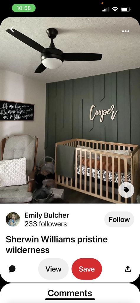 Baby Boy Room Nursery, Let Me Love You, Iron Ore, Baby Boy Rooms, Sherwin Williams, Boy Nursery, Boy Room, Cribs