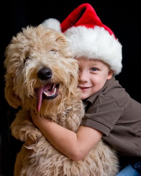 A boy and his dog (Christmas Shoot) idea Christmas gift  https://www.amazon.com/Painting-Educational-Learning-Children-Toddlers/dp/B075C1MC5T Kid And Dog Christmas Picture Ideas, Toddler And Dog Christmas Photo, Diy Mason Jar Christmas Gifts, Pet Christmas Pictures, Toddler Christmas Photos, Playroom Montessori, Jar Christmas Gifts, Dog Christmas Photos, Dog Christmas Pictures