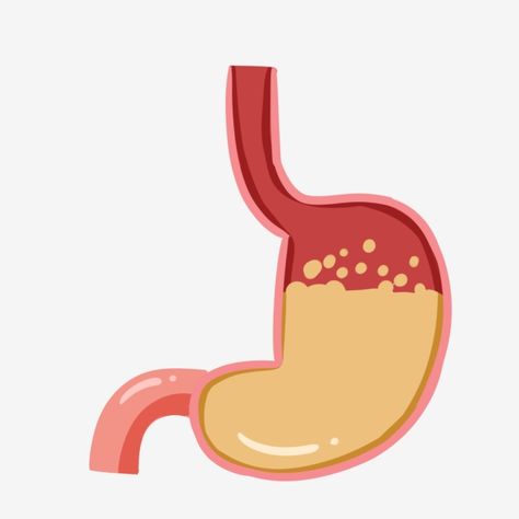 man vector,Digestive System,digestion,human body,Cartoon body,Vector human body,digestive vector,system vector Organ Illustration, Organs Illustration, Stomach Images, Human Body Crafts, Body Cartoon, Sistem Pencernaan, Human Organs, Illustration Human, Cartoon Body