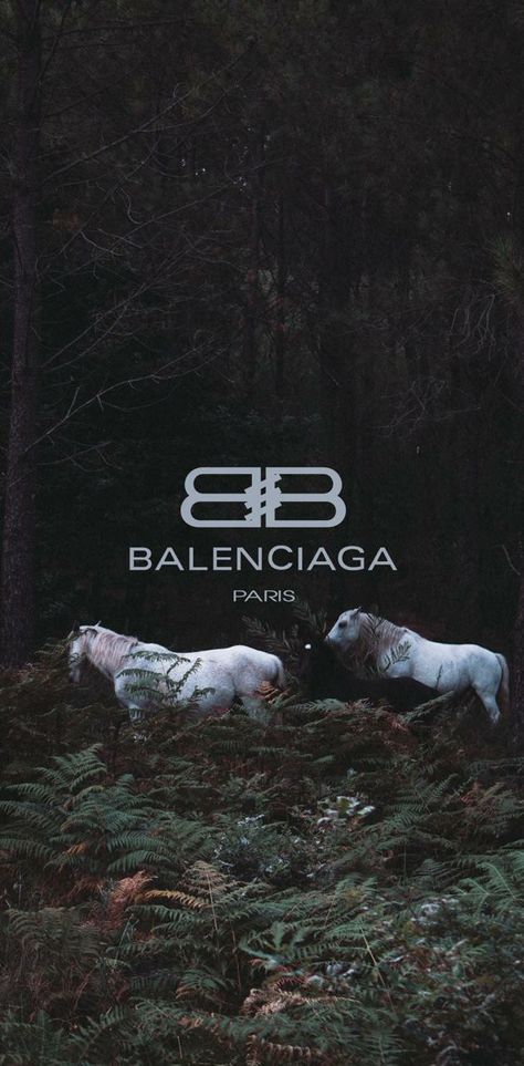 Balenciaga Wallpaper, Balenciaga Aesthetic, Thug Life Wallpaper, Classy Wallpaper, Phone Wallpapers Vintage, Netflix Film, Wallpaper Dog, Hype Wallpaper, Paris Wallpaper