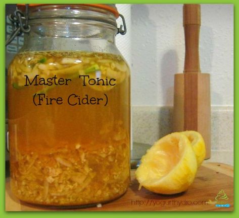 Master Tonic Recipe, Homemade Spring Rolls, Master Tonic, Garlic Yogurt, Tonic Recipe, Fire Cider, Mountain Rose Herbs, Herbal Recipes, Health Living