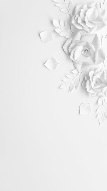 White Background With Design, White Flower Background, White Paper Flowers, Wedding Card Frames, New Wallpaper Iphone, Wedding Invitation Background, Digital Invitations Wedding, Pink Flowers Wallpaper, Floral Cards Design