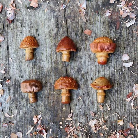 Avocado Seed Carvings. How neat are these?! What a brilliant idea! Great way to repurpose and upcycle what you have on hand! #diyproject #upcycled #repurposed #recycled #bringnatureinside #natureart #exploreoutdoors #seedcarving #carving Avocado Pits, Avocado Art, Seed Art, Whittling Projects, Wood Carving Tools Knives, Dremel Carving, Avocado Seed, Dremel Projects, Mushroom Fairy