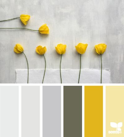 Good Pics Color Schemes yellow Strategies Most of us see the essentials of colour rim: via key along with supplementary colors in order to jus #Color #Good #Pics #Schemes #Strategies #yellow Seeds Color, Color Palette Yellow, Design Seeds, Decor Minimalist, Room Paint, Kitchen Colors, Colour Schemes, Bedroom Colors, Color Pallets