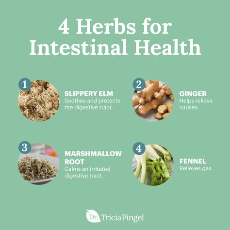 Intestinal Health, Natural Antibiotics, Herbal Healing, Herbs For Health, Holistic Remedies, Diet Exercise, Foods To Avoid, Healing Herbs, Healthy Digestion