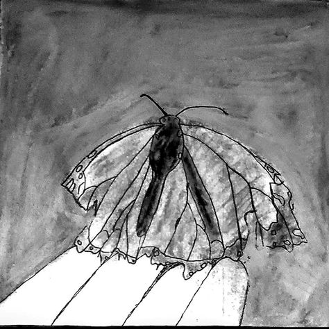 This butterfly landed on my hand and I was so sad that his wing was broken.😥 Still very beautiful 🦋 Broken Butterfly, Obscure Art, Butterfly Drawing, Butterfly Art, Drawings, Quick Saves, Art