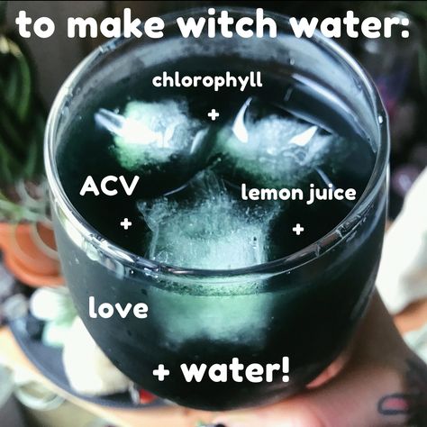 Read about how awesome you'll feel drinking ACV + chlorophyll + lemon + water + love oh and also baking soda if you want! How To Drink Chlorophyll, Benefits Of Drinking Chlorophyll, Acv Water Benefits, Baking Soda In Water Drinking, How To Make Chlorophyll Water, Chlorophyll Foods, Chlorophyll Water Recipe, Chlorophyll Recipes, Chlorophyll Drink Recipes