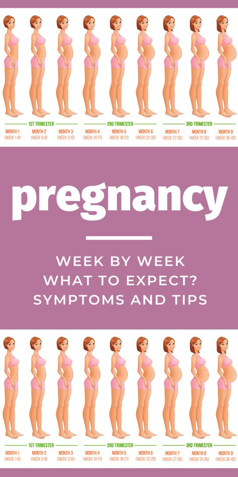 Pregnancy Symptoms Week By Week, Pregnancy 1st Trimester Tips, Pregnancy Months And Weeks, Week 6 Of Pregnancy, Pregnant Month By Month, Week 3 Pregnancy Symptoms, Week By Week Pregnancy Belly, 4 Month Pregnancy Outfits, Week 5 Pregnancy Symptoms