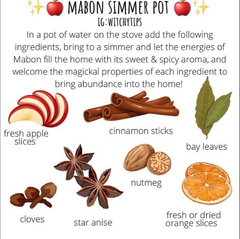 Dried Cloves, Wicca Recipes, Simmer Pot Recipes, Kitchen Witch Recipes, Simmer Pot, Kitchen Magic, Kitchen Witchery, Dried Oranges, Herbal Magic