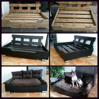 Dog Couch Bed, Pallet Dog Beds, Dog Bed Ideas, Puppy Room, Pets Stuff, Dog Training Ideas, Dog Couch, Easiest Dogs To Train, Dog House Diy