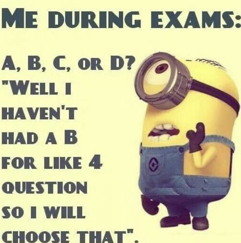 Minion Jokes Hilarious Laughing So True, Minion Jokes Hilarious Laughing, Minion Jokes Hilarious So True, Minion Memes Hilarious, Funny Minion Jokes, Minions Jokes, Photography Quotes Funny, Funny Minions Quotes, Minion Humor