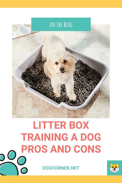 For those of you who spend a lot of time outside the home and leave their dogs inside, litter box training may be the solution. If you are one of those dog owners you will want to know about the pros and cons of this training. This should give you a better idea of what to expect and also what you can do to make the overall process easier. Litter box training a dog pros cons are easy to understand and this is something we will do it below. Litter Training Puppies, Dog Litter Box Ideas Indoor, Dog Litter Box Ideas, Puppy Litter Box Ideas, Litter Box For Dogs, Dog Litter Box, Training A Dog, Puppy Litter, Dog Corner