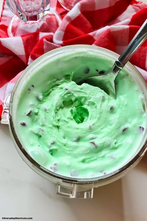 Ninja Creami Mint Chocolate Chip Ice Cream - Everyday Shortcuts Creami Protein Ice Cream, Ice Cream Dessert Recipe, Ninja Ice Cream Recipe, Apple Pie Ice Cream, Protein Ice Cream Recipe, Mint Chocolate Ice Cream, Homemade Cookbook, Mint Oreo, Ice Cream Maker Recipes