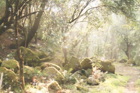 Different Aesthetics, Nature Aesthetic, Pretty Places, Green Aesthetic, Fantasy Landscape, The Forest, Pretty Pictures, Fairy Garden, Mother Nature