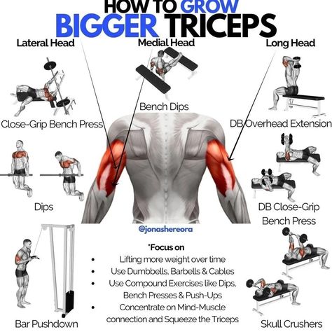 Bicep And Tricep Workout, Tricep Workout, Bicep Workout, Gym Antrenmanları, Big Biceps, Latihan Kardio, Gym Workout Chart, Gym Workouts For Men, Biceps And Triceps