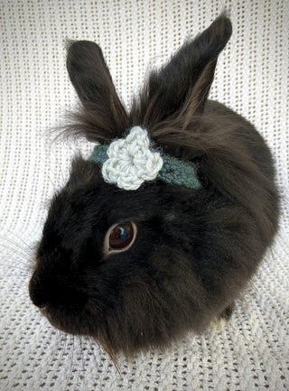 A Basic Guide to Bunny Hats : 5 Steps (with Pictures) - Instructables Crochet For Bunnies, Bunny Crochet Hat Pattern, Crochet Hat For Rabbit, Rabbit Hat Crochet, Crochet Hat For Bunny, Rabbit Ear Hat Crochet Pattern, Crochet Rabbit Clothes, Bunny Hat Crochet, Bunny Hats