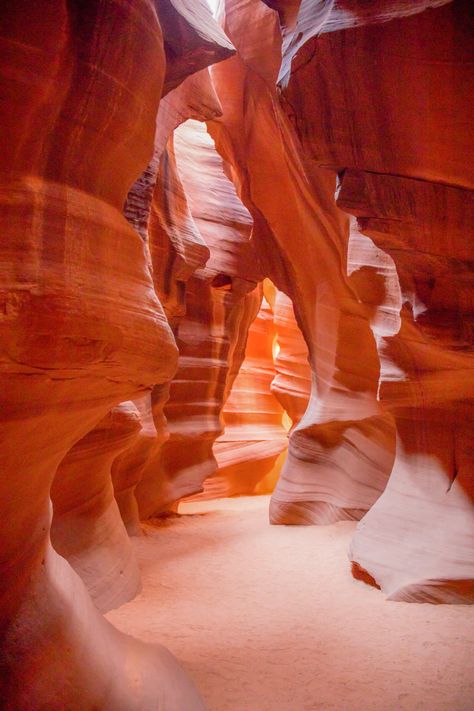 Arizona Vision Board, Arizona Astethic, Canyons Aesthetic, High Desert Aesthetic, Utah Travel Aesthetic, Sedona Arizona Aesthetic, Arizona Desert Aesthetic, Phoenix Arizona Aesthetic, Aesthetic Voyage