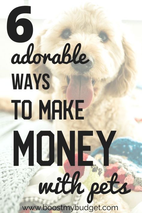 Imagine getting paid to hang out with doggos! Well, you can! Here are 6 adorable and easy ways to make money with animals. From pet sitting to creating pet products, these are the perfect side hustles for animal lovers. Number 2 is the perfect work at home job for stay at home parents! Animals Adorable, Home Business Ideas, Easy Ways To Make Money, Dog Business, Pet Blog, Pet Businesses, Stay At Home Parents, Mom Jobs, Money Making Jobs