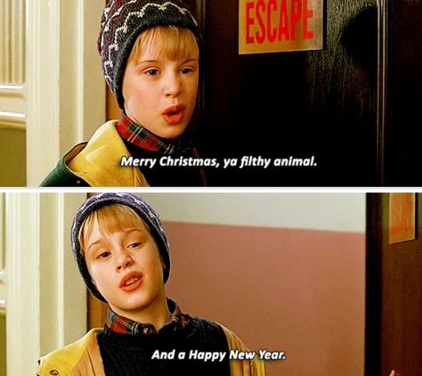 Home Alone:  Merry Christmas ya filthy animal.  And a happy new year. Christmas Movie Quotes Funny, Merry Chrysler, Funny Christmas Movies, Christmas Movie Quotes, Home Alone Movie, Christmas Films, Macaulay Culkin, Christmas Jokes, Christmas Memes