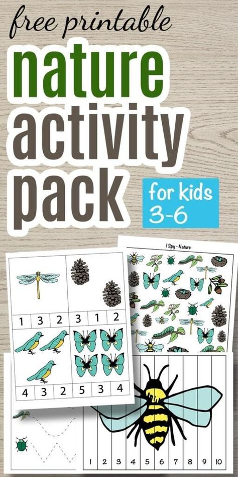 This free printable nature activity pack is great indoor activity for kids! Keep the learning going at home with this printable preschool pack featuring counting clip cards, nature I spy puzzles, and number building puzzles. Click through to download today! Nature Crafts Preschool Free Printable, Nature Unit Preschool, Nature Preschool Theme, Nature Themed Activities For Kids, Nature Math Activities Preschool, Nature Theme Preschool Activities, Nature Worksheets For Preschool, Nature Activities Preschool, Biology Games