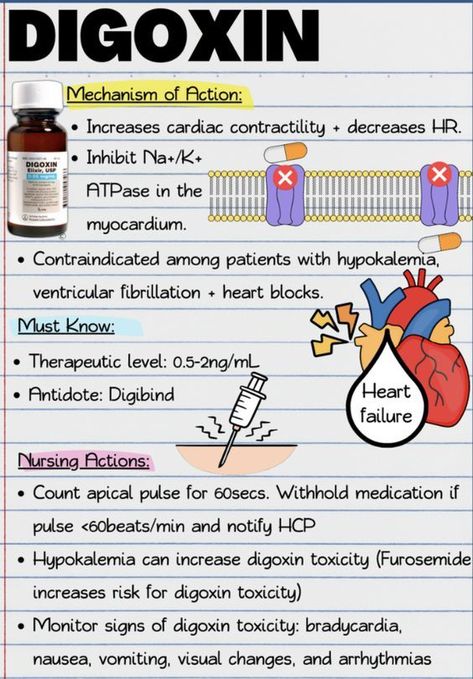 Digoxin #nursingschool #nursingstudent #study  - Image Credits: Jessi L Respiratory Care Practitioner, Digoxin Nursing, Digoxin Toxicity, Pharmacy School Study, Pharmacology Nursing Study, Nursing School Studying Cheat Sheets, Nursing School Inspiration, Nursing School Essential, Nursing Study Guide