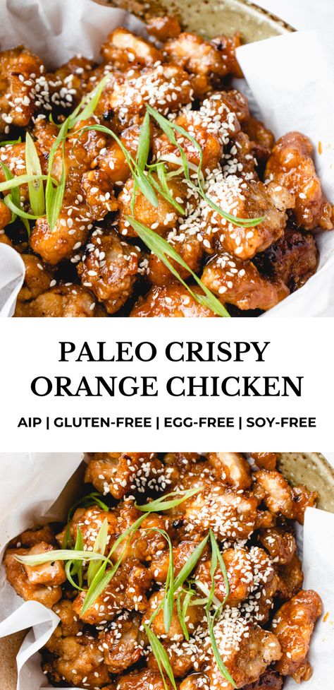 Aip Grilled Chicken, Paleo Chicken Gravy, No Eggs No Dairy Recipes, Aip Chicken Pho, Paleo Korean Chicken, Aip Marinades For Chicken, Aip Orange Chicken, Paleo Orange Chicken Recipe, Aip Chicken Recipes Autoimmune Paleo