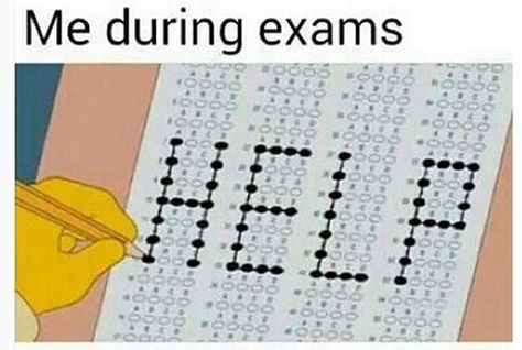 When in doubt choose C? Exam Pictures, Help Meme, Test Meme, Exams Memes, Studying Funny, Studying Memes, Funny Day Quotes, English Memes, English Jokes