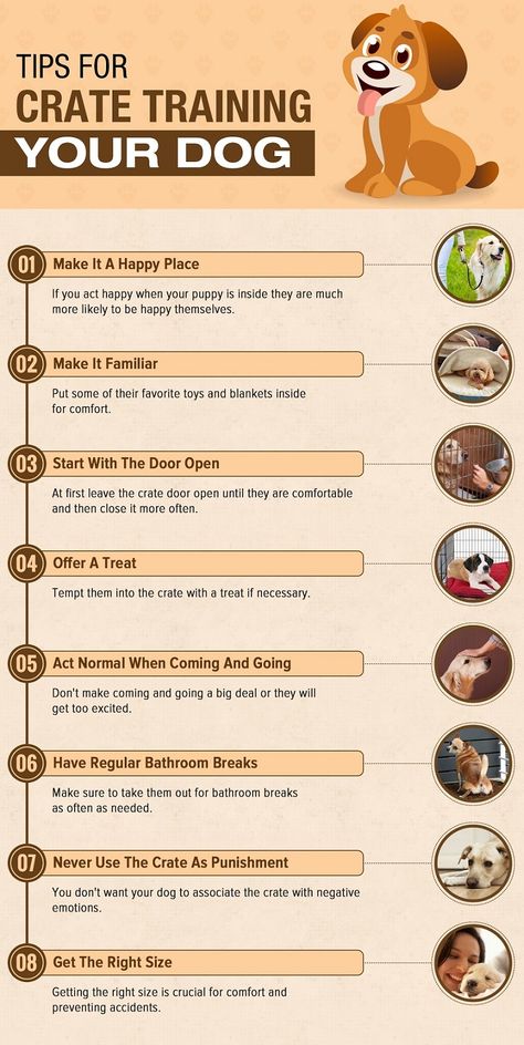 New Puppy Checklist Training, Treats For Puppies Training, Crate Training Puppy While Working, New Puppy Area Ideas, Getting A Puppy Checklist, Things To Train Your Puppy, Puppies Training Tips, Best Puppy Training Tips, Puppy Training Checklist