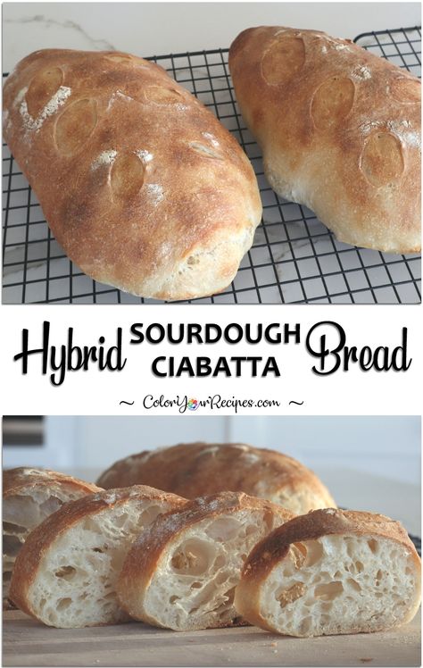 Hybrid Sourdough Ciabatta Bread • Color Your Recipes Sourdough Ciabatta Recipe, Sourdough Ciabatta, Ciabatta Bread Recipe, Sourdough Dinner Rolls, Easy Sourdough, Ciabatta Bread, Sourdough Baking, Sourdough Bread Recipe, Loaf Recipes