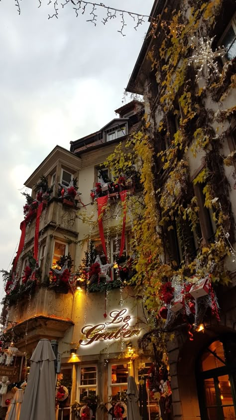 christmas strasbourg Christmas Strasbourg, Strasbourg France Christmas, Vintage Diaries, French Christmas Traditions, Spain Christmas, Christmas In Spain, Strasbourg Christmas, Strasbourg Cathedral, Majestic Tree