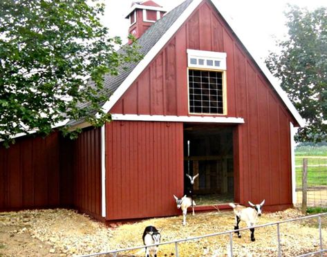 3 Small Animal Barn Plans Complete Pole-Barn Construction | Etsy Small Animal Barn, Small Horse Barn, Pole Barn Construction, Pole Barn Designs, Dreamy Backyard, Pole Barn Plans, Barn Layout, Backyard Barn, Small Barns