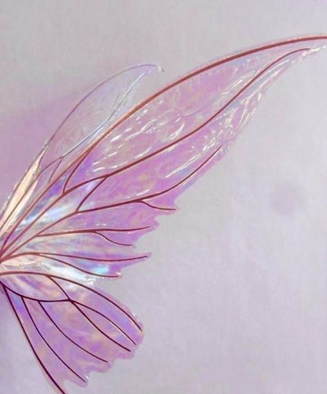 Cottage Core Aesthetic, Fairy Wings, Cottage Core, Pink Aesthetic, Cottage, On Twitter, Purple, Twitter, Pink