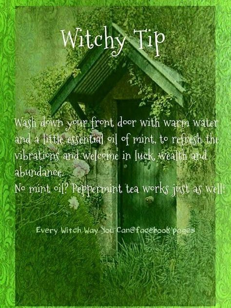 Witchy tip for your home: wash down your front door with warm water and a little essential oil of mint to refresh the vibrations and welcome in luck, wealth and abundance. (Peppermint tea works as well!) Peppermint Tea Benefits, Mint Water, Green Witchcraft, Mint Oil, Witch Garden, Wiccan Spell Book, Witch Spell Book, Energy Healing Spirituality, Removing Negative Energy