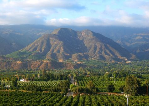 Topatopa Mountain Range - Ojai Valley, CA Ventura County California, Ojai Valley, Come Along With Me, Ojai California, Ventura California, Artists Studio, Places In California, John Krasinski, San Fernando Valley