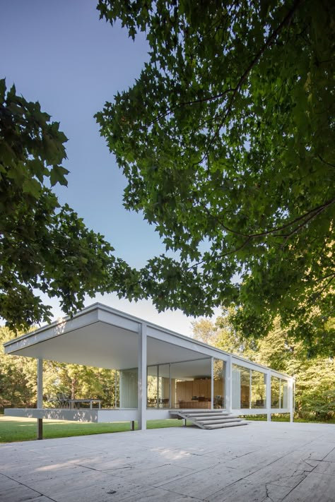 Philip Johnson Glass House, Farnsworth House, Glass Pavilion, Bacolod, Ludwig Mies Van Der Rohe, Van Der Rohe, Mies Van Der Rohe, Story House, Glass House