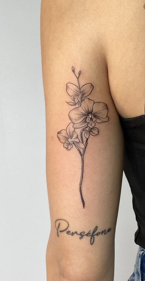 Aquarius Tattoo Orchid, Orchid Mandala Tattoo, Orchid Arm Tattoo, Orchids Tattoo Design, Simple Orchid Tattoo, Orchid Flower Tattoo, Orchids Tattoo, Orchid Tattoo Meaning, Orchid Tattoos