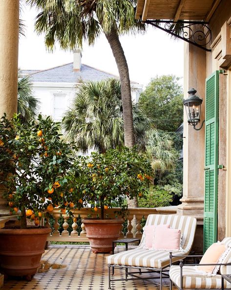 Jane French Home on Instagram: “I love Patricia Altschul‘s Charleston home. Every room is beautifully decorated, including this porch area. Potted citrus gets me every…” Traditional Southern Home, Patricia Altschul, Italian Cottage, Southern Belle Secrets, Mario Buatta, Southern Mansions, Glam Pad, Southern Design, Patio Inspiration