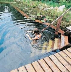 Natural Swimming Hole, Living Pool, Natural Swimming Ponds, Backyard Pond, Swimming Hole, Pond Waterfall, Swimming Pond, Natural Swimming Pools, Piscina Natural