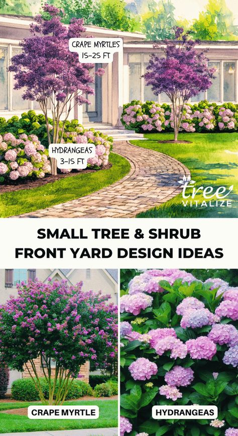 Easy Bushes For Front Of House, Landscape Under Window Front Yards, Landscaping Colonial Front Yard, Tree Landscaping Ideas Front Yard, Front Yard Tree Ideas, Front Yard Tree Landscaping, Bushes In Front Of House, Front Yard Design Ideas, Yard Garden Design