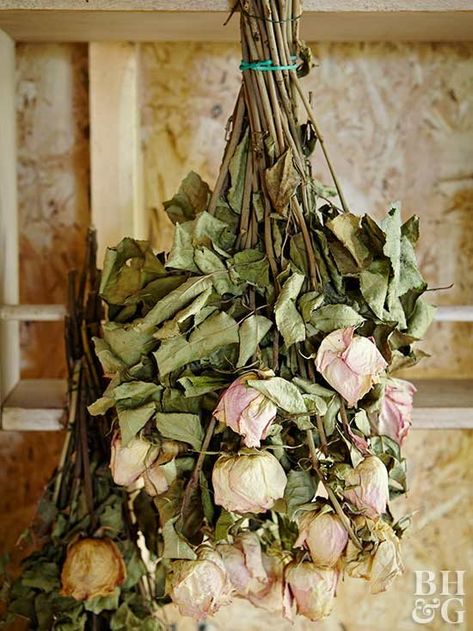 Drying Roses Upside Down, Diy Dried Floral Wreath, Fresh And Dried Flower Bouquet, Dried Bouquet Display, Herbal Crafts, How To Dry Flowers, Flower Drying, Dried Flowers Crafts, Preserve Flowers