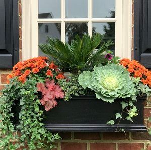 Fall Planters, Container Gardens & Window Boxes — Contained Creations Fall Flower Boxes, Fall Planter Ideas, Outdoor Flower Boxes, Patio Planter Boxes, Container Arrangements, Fall Flower Pots, Front Door Patio, Winter Window Boxes, Fall Pots