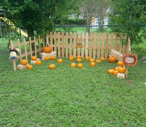 Diy Mini Pumpkin Patch, Diy Pumpkin Patch Party, School Pumpkin Patch Ideas, Diy Pumpkin Patch For Kids, Backyard Pumpkin Patch Ideas, Backyard Pumpkin Patch, Diy Pumpkin Patch, Mini Pumpkin Patch, Pumpkin Patch Diy