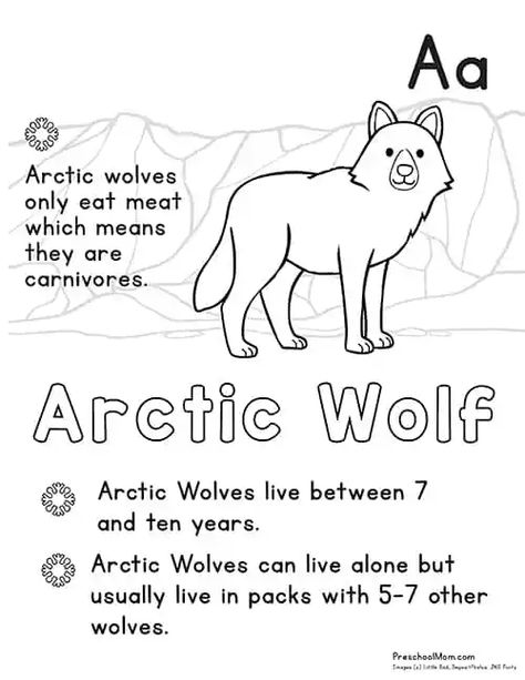 Arctic Animal Coloring Pages - Preschool Mom Arctic Animal Coloring Pages Free, Arctic Animals Coloring Pages, Artic Animals Art For Preschool, Artic Animals Drawings, Arctic Fox Craft, Artic Animal Lessons For Preschool, Arctic Animals Printables, Arctic Animals Preschool Activities, Arctic Animals Activities