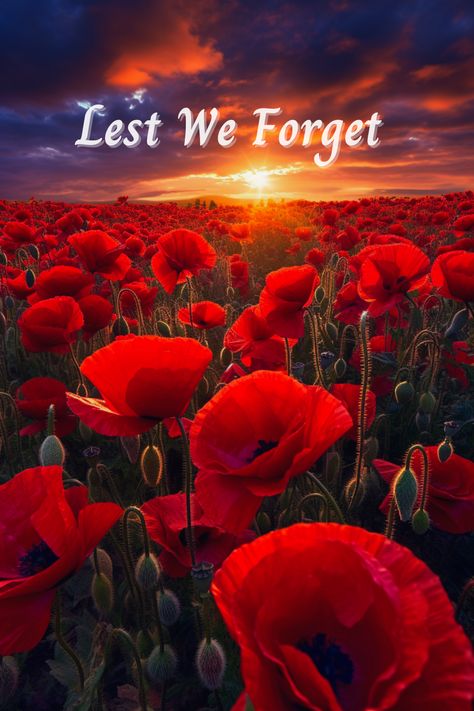 Lest We Forget | November 11 | Veterans Day Less We Forget Remembrance Day, November 11 Remembrance Day, Happy Veterans Day Images, Veterans Day Pictures, Remembrance Day Images, Remembrance Day Pictures, Lest We Forget Remembrance Day, Remembrance Day Quotes, Veterans Day Poppy